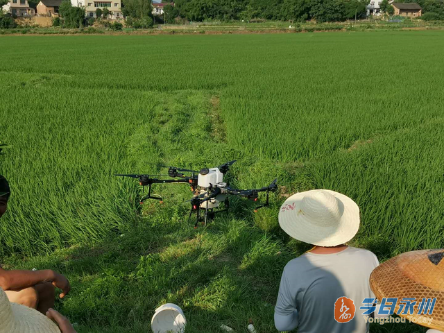 &#112;&#112;&#30005;&#23376;&#40;&#20013;&#22269;&#21306;&#41;&#23448;&#26041;&#32593;&#31449;